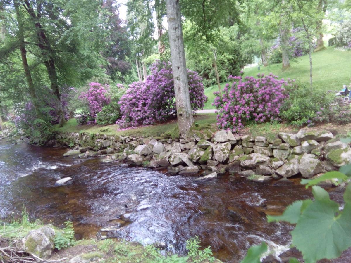 Ferienwohnung Talblick Mit Schwimmbad Bad Wildbad Bagian luar foto